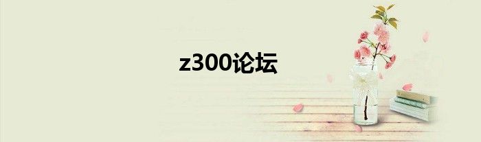 z300论坛