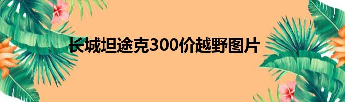 长城坦途克300价越野图片