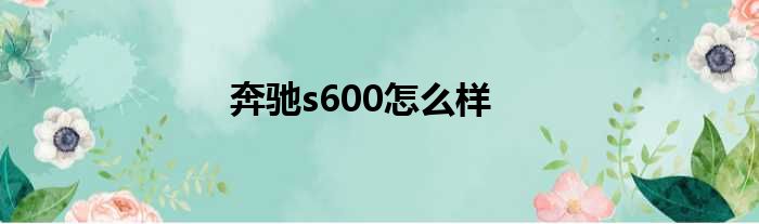 奔驰s600怎么样