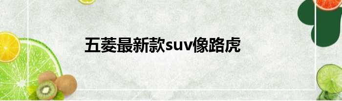 五菱最新款suv像路虎