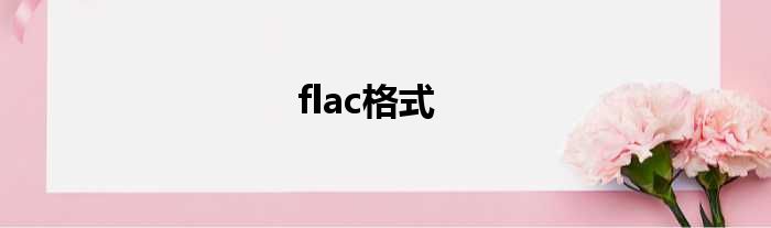 flac格式