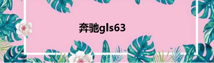 奔驰gls63