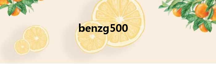 benzg500