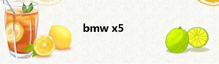 bmw x5