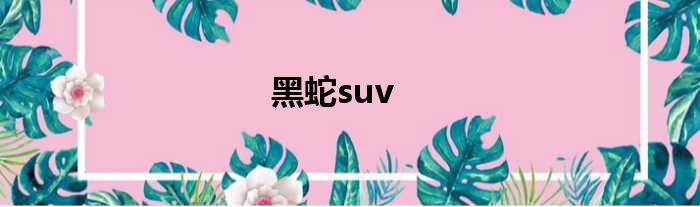 黑蛇suv