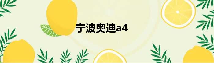 宁波奥迪a4