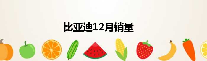 比亚迪12月销量