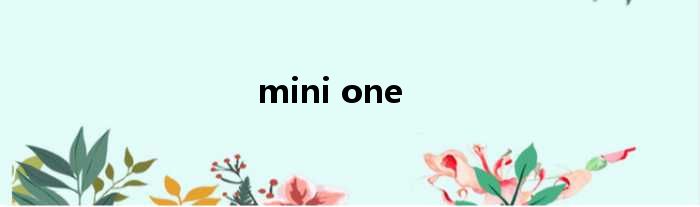 mini one