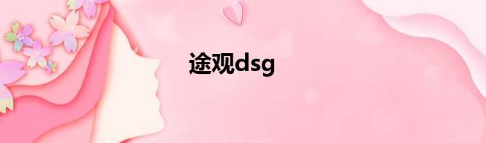 途观dsg