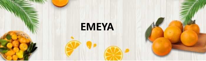 EMEYA