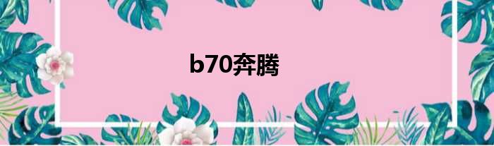 b70奔腾