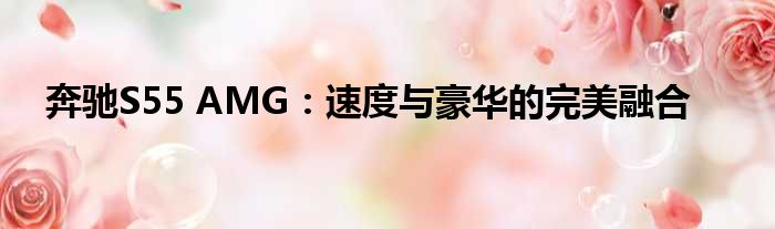 奔驰S55 AMG：速度与豪华的完美融合