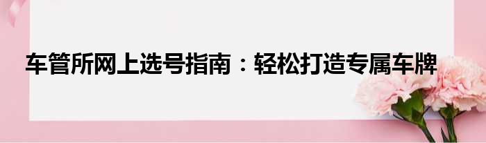 车管所网上选号指南：轻松打造专属车牌