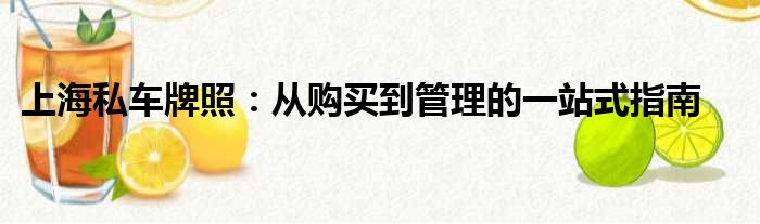 上海私车牌照：从购买到管理的一站式指南