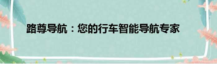 路尊导航：您的行车智能导航专家