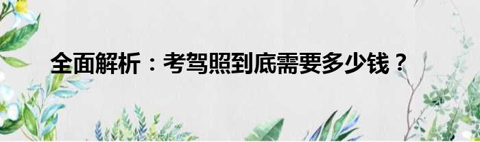 全面解析：考驾照到底需要多少钱？