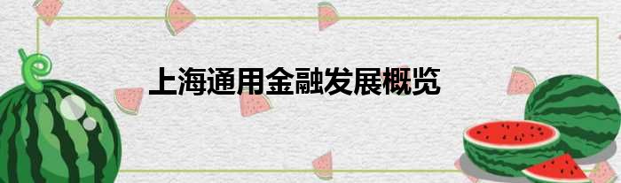 上海通用金融发展概览