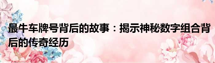 最牛车牌号背后的故事：揭示神秘数字组合背后的传奇经历