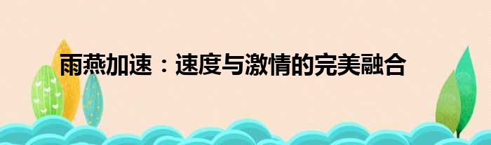 雨燕加速：速度与激情的完美融合