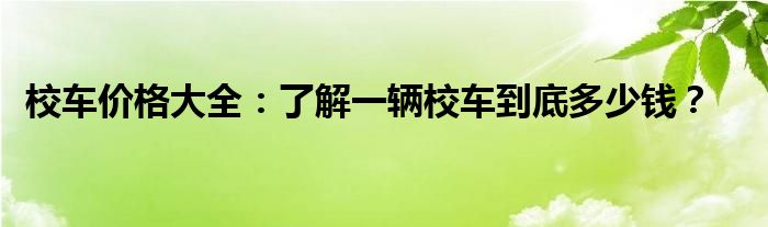 校车价格大全：了解一辆校车到底多少钱？