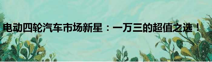 电动四轮汽车市场新星：一万三的超值之选！