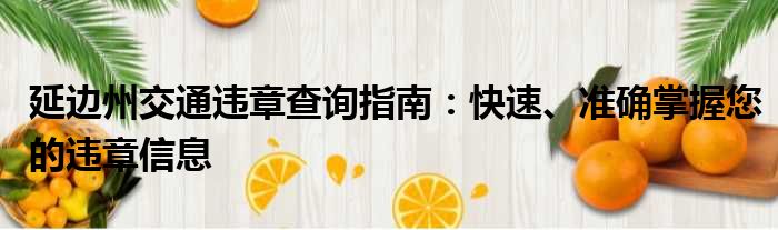 延边州交通违章查询指南：快速、准确掌握您的违章信息