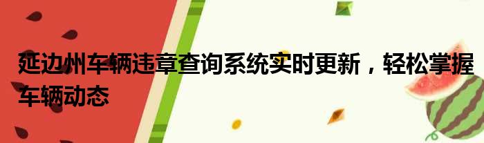 延边州车辆违章查询系统实时更新，轻松掌握车辆动态