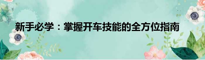 新手必学：掌握开车技能的全方位指南