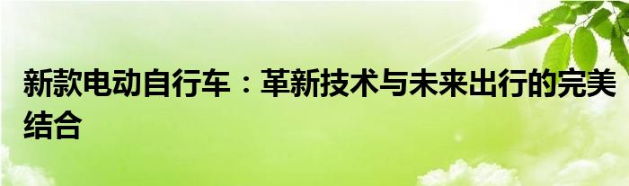 新款电动自行车：革新技术与未来出行的完美结合