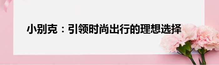 小别克：引领时尚出行的理想选择