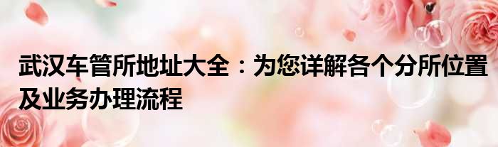 武汉车管所地址大全：为您详解各个分所位置及业务办理流程