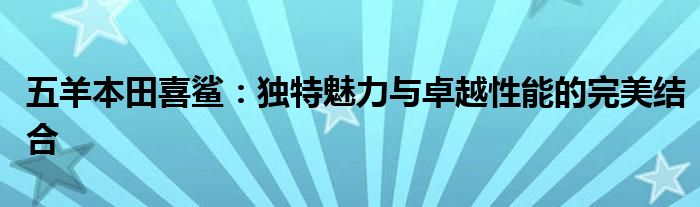 五羊本田喜鲨：独特魅力与卓越性能的完美结合