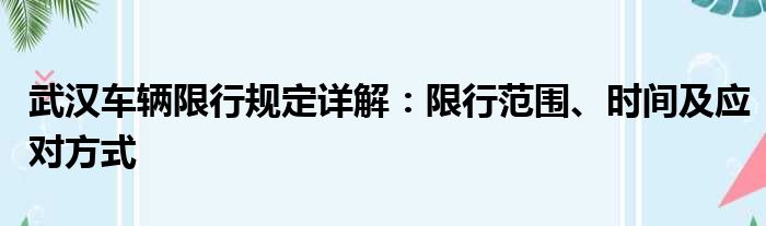 武汉车辆限行规定详解：限行范围、时间及应对方式