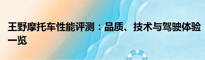 王野摩托车性能评测：品质、技术与驾驶体验一览