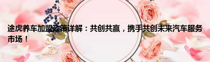 途虎养车加盟政策详解：共创共赢，携手共创未来汽车服务市场！