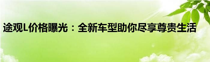 途观L价格曝光：全新车型助你尽享尊贵生活