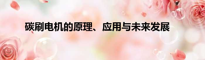 碳刷电机的原理、应用与未来发展