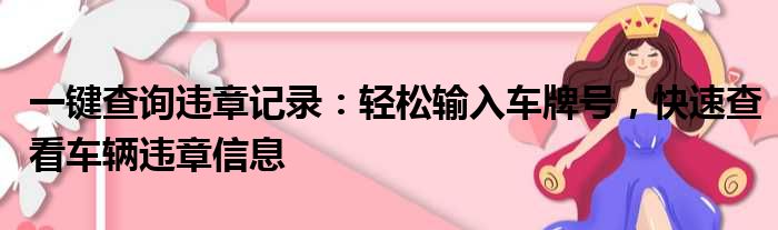 一键查询违章记录：轻松输入车牌号，快速查看车辆违章信息