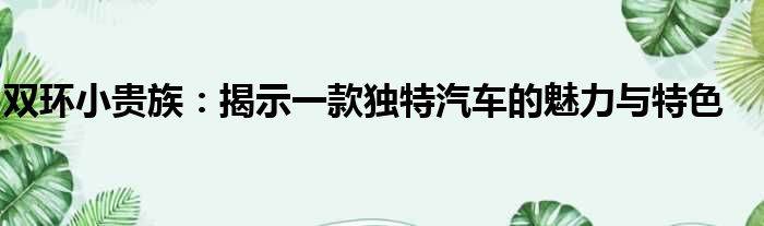 双环小贵族：揭示一款独特汽车的魅力与特色