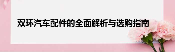 双环汽车配件的全面解析与选购指南