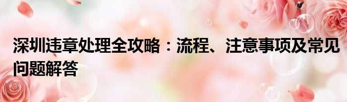 深圳违章处理全攻略：流程、注意事项及常见问题解答