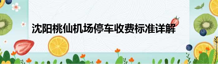 沈阳桃仙机场停车收费标准详解