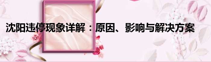 沈阳违停现象详解：原因、影响与解决方案