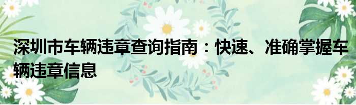 深圳市车辆违章查询指南：快速、准确掌握车辆违章信息