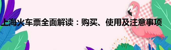上海火车票全面解读：购买、使用及注意事项
