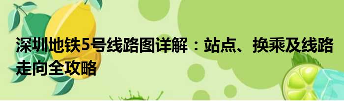深圳地铁5号线路图详解：站点、换乘及线路走向全攻略