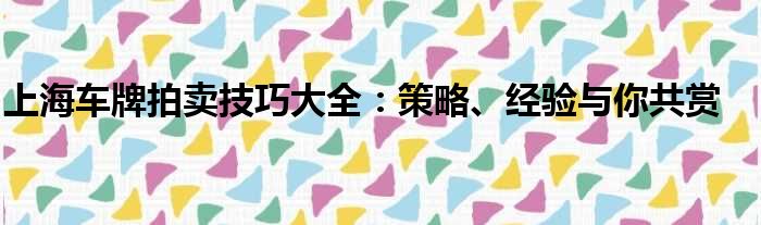 上海车牌拍卖技巧大全：策略、经验与你共赏