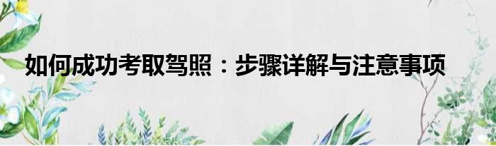 如何成功考取驾照：步骤详解与注意事项