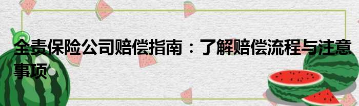 全责保险公司赔偿指南：了解赔偿流程与注意事项