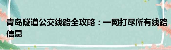 青岛隧道公交线路全攻略：一网打尽所有线路信息